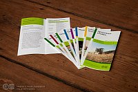 Flyer spezifische Studiengänge