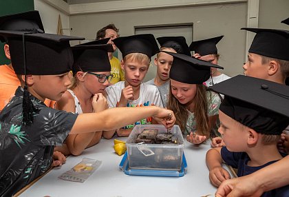 Kinderuni 2019 - Werden Insekten krank?, Foto: MLU/Maike Glöckner