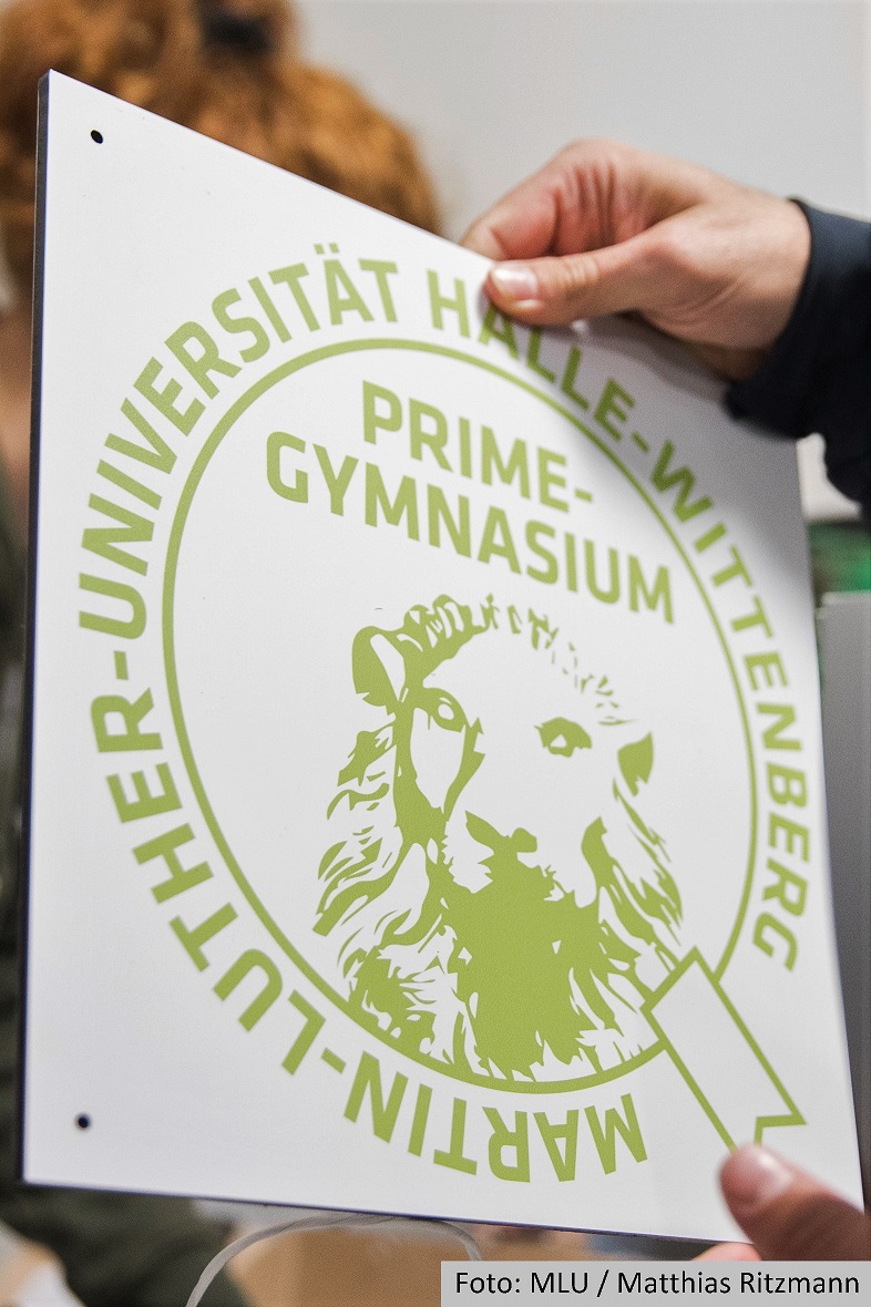 Titelbild Prime Gymnasium