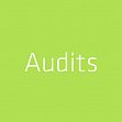 Marketing-Audits