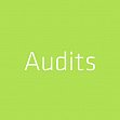 Marketing-Audits